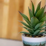 Smart Living - One Beds *