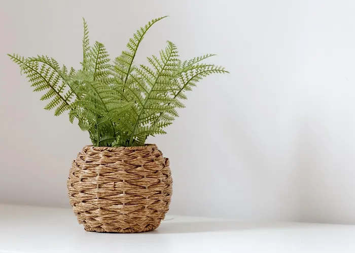 Smart Living - One Beds * Bradford (West Yorkshire)