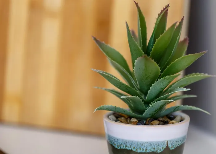 Smart Living - One Beds *